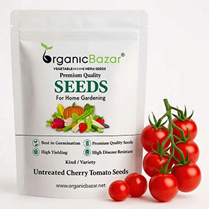 Tomato Seed