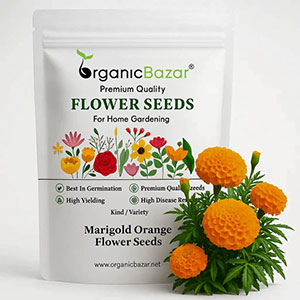 Marigold Orange