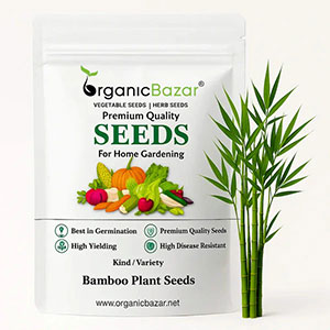 Bamboo Plant Seeds