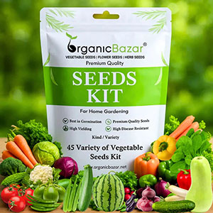 Variety Vegetable