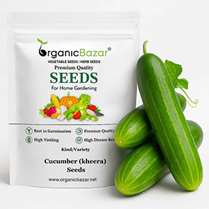 Vegetables Seeds