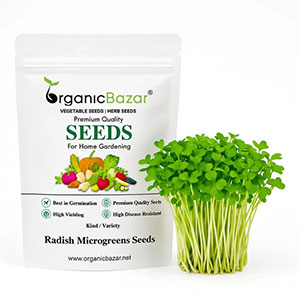 Microgreen Seeds